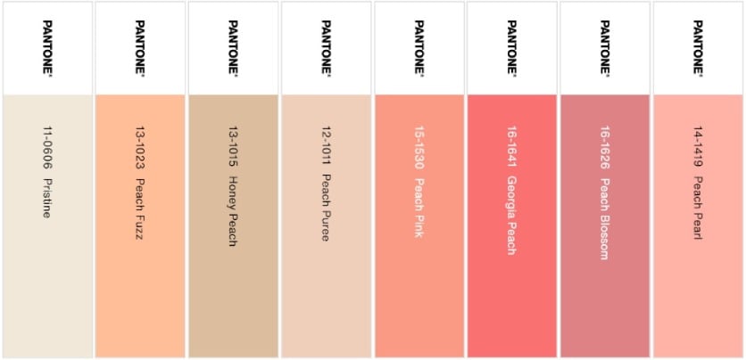 palette peach plethora pantone color of the year 2024 (1)