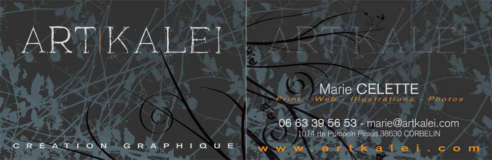 exemple carte de visite graphiste